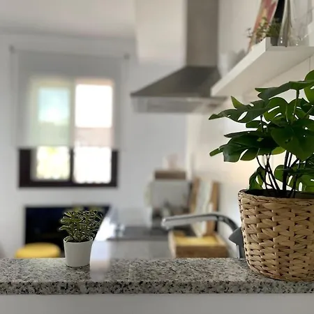 New Mezquita2 En Mezquita Catedral Кордова